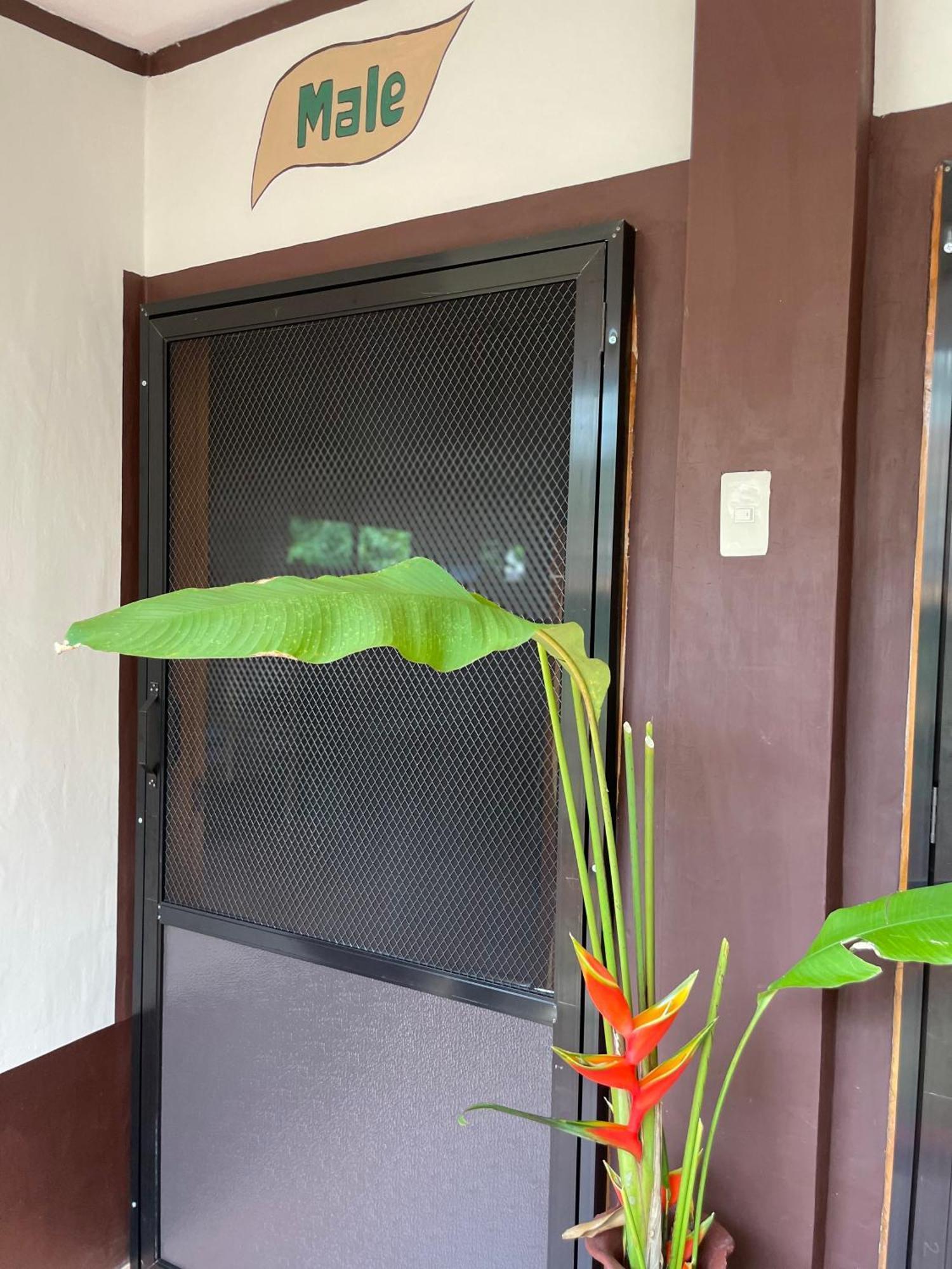 Chelle'S Guesthouse And Backpackers Сикихор Экстерьер фото
